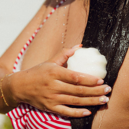 APRICOT DREAMS | Shampoo Bar